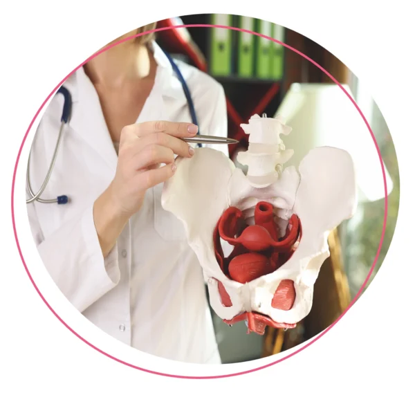 Consulta médica de piso pélvico